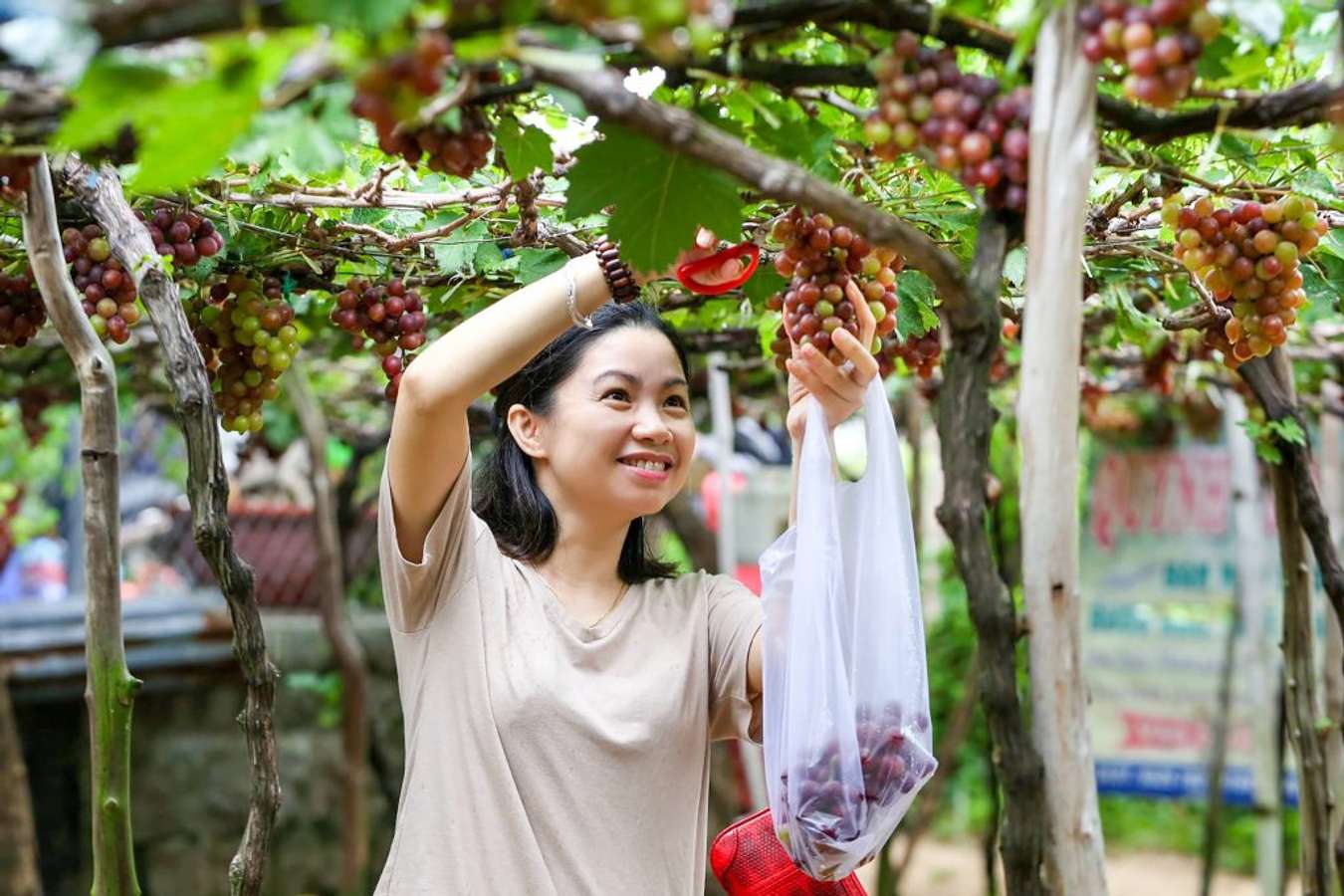 đặc sản Phan Rang